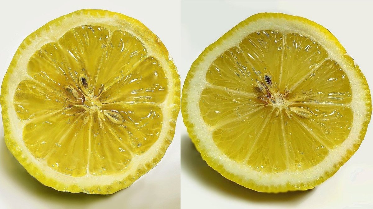 2つのレモンのどちらかが絵 写真のように描くコツを作者に聞いた