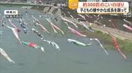 こどもの日　坪井川に３００匹の色とりどりの鯉のぼり【熊本】