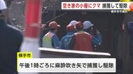 小屋にとどまったクマ、麻酔吹き矢で捕獲し駆除　小学校近くの空き家敷地に入り込む　秋田・横手市