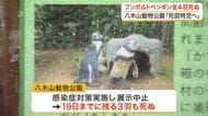 事前の兆候なし…八木山動物公園でフンボルトペンギン４羽すべてが相次いで死ぬ　死因特定へ〈仙台市〉