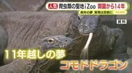 コモドドラゴン28日に日本到着　爬虫類の聖地 iZooへ　 31日一般公開の予定　白輪園長の夢広がる　14年前の改修初日の来園者…わずか7人　どん底からの出発「自信はあった…いま伝道師の名を誇りに」