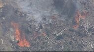 【速報】「山頂に向かって燃え広がっている」福岡・久留米市で山火事の通報　草刈り中に火が出たか　消防が出動　乾燥注意報が発表中