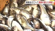 「季節ハタハタの文化が消滅するのでは」　記録的不漁、県魚はどこへ？漁師が感じた異変　秋田・八峰町