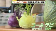 西洋野菜「コールラビ」 小学生が“地元で育つ野菜”学ぶ 静岡・磐田市