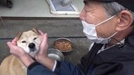 「ギュッ」されても怒らないけど…穏やか過ぎて番犬失格!?　工場の“潤滑油”ポッチくん【福井発】
