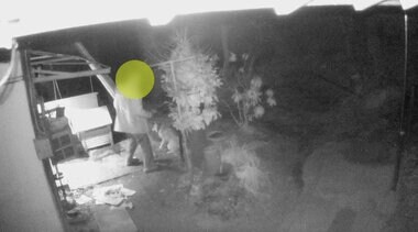 「バカ犬が!」防犯カメラが捉えた衝撃の一部始終…叫びながら繰り返し暴行する男