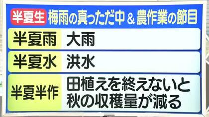【天気／山形】半夏水（はんげみず）は洪水のこと＆3日の詳しい天気　中村友祐気象予報士の天気予報(2)
