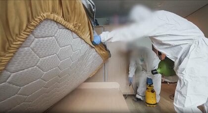 「トコジラミ」ホテルの床やベッドに要注意！　爆発的な増殖力で夜中に吸血。旅行時の対策を専門家が解説