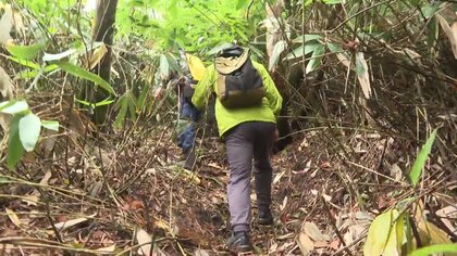 やぶの中からスマホを発見…ベテラン登山家が「マッコウ登山」で遭難し死亡　「登山アプリ」に残された足取りを追跡