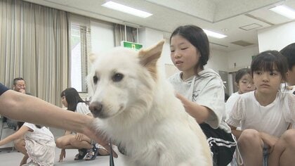 捨てた飼い主は“書類送検”も…捨てられた側のペットたちはその後どうなるのか 動物愛護センターで「いのちの教室」