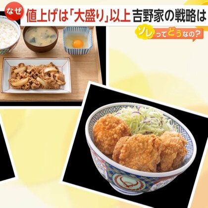 「大盛り以上は値上げ」吉野家の牛丼新価格ってどう思う？「並盛」「小盛」は値段据え置きに見える消費者心理戦略