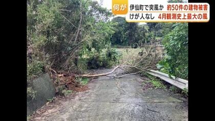 「屋根が飛んだ」突風被害、徳之島伊仙町で約50件被害確認　気象庁が現地調査へ