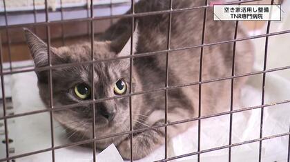「1匹も殺処分のないように」宮崎の空き家を改装しTNR専門病院を開院　1人でも多くの参加を