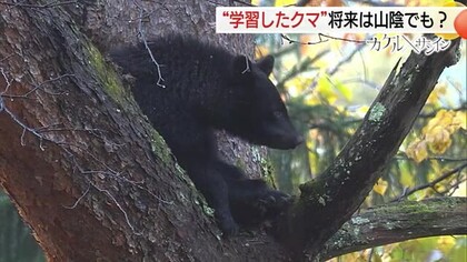 緊急銃猟は“非常手段”　対応に課題山積…クマ対応に振り回される自治体　急がれる“ハンター”育成