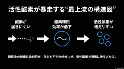 活性酸素＝悪者ではなかった！──睡眠中の体内環境に関する調査プロジェクトを開始
