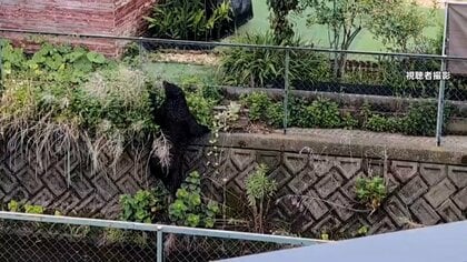 【速報】クマ1頭捕獲も　宇都宮市は10日も市立小・中学校の一斉休校を決定「安全の確認取れるまで万全を期すため」