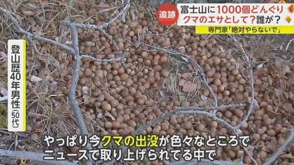 絶対やっちゃいけないこと」クマのエサとして？富士山に大量の“どんぐり”いったい誰が…専門家が危機感｜FNNプライムオンライン