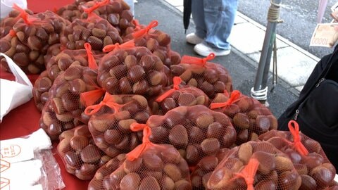 熊本で“栗三昧”イベント　愛媛では「働くクルマ」を体験　秋の気配深まる各地の表情