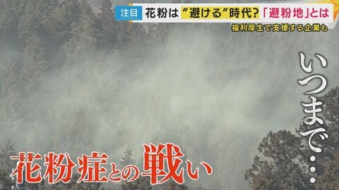 経済損失は1日2450億円　「花粉症」との戦い　国の対策“小花粉スギ”の拡大　新しいライフスタイル「花粉を避ける」“避紛地”も
