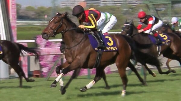 桜花賞】アスコリピチェーノ無敗で「桜の女王」へ 牝馬3冠初戦に注目馬