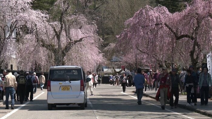 秋田・仙北市角館町の武家屋敷通り（2025年4月撮影）