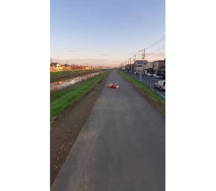 提供:柴犬ななさん