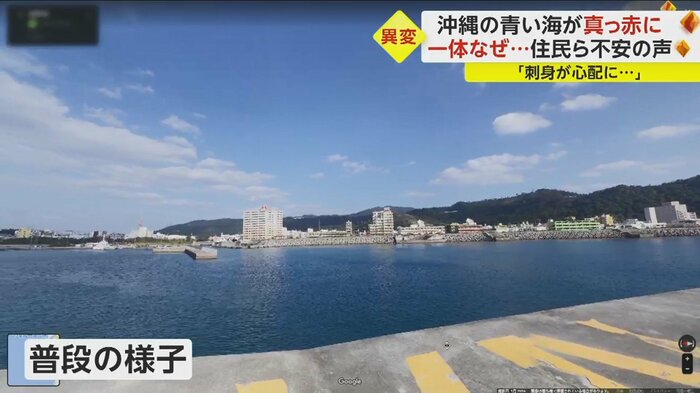普段は青い海