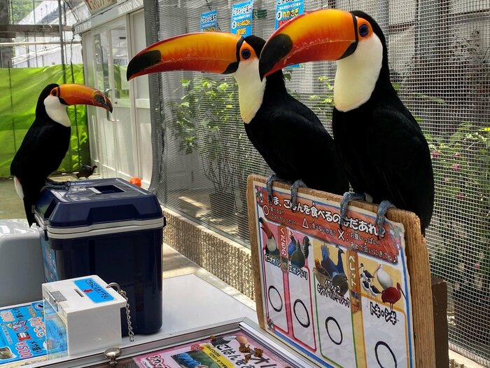 近くで見るとこんな感じ