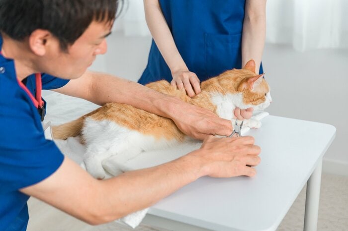画像：イメージ