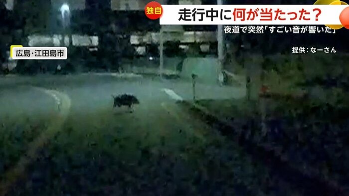 去っていくうり坊