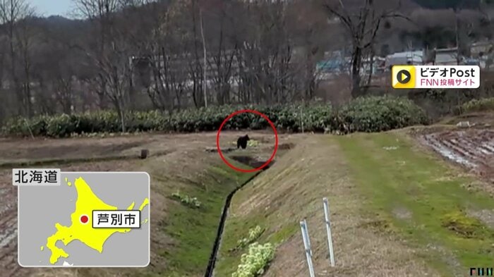 クマに遭遇した動画(北海道・芦別市)
