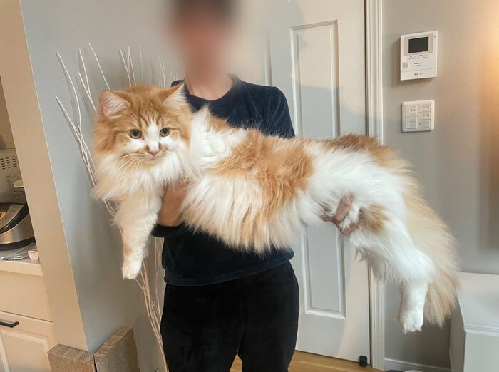 提供:ぽてこゆこめ+うなさん