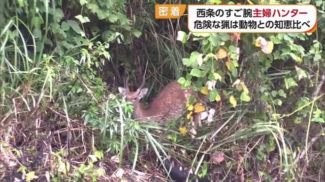 野生動物を相手にする捕獲作業は危険を伴う