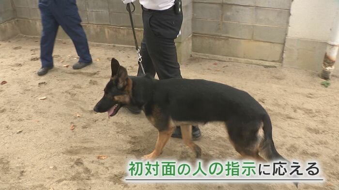 齋藤アナウンサーの指示に応えるアイ