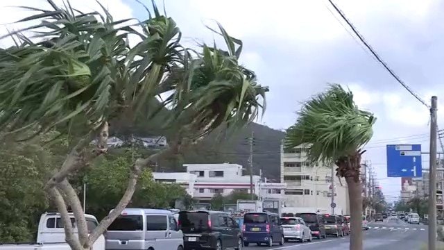 徳之島（9月3日）