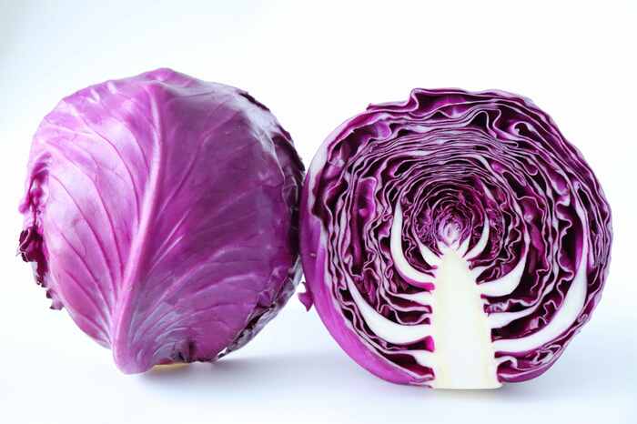 紫キャベツの美しい色は紫色の色素成分アントシアニン