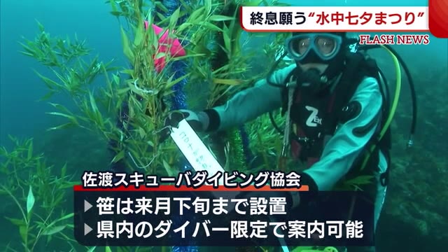 海中にたなびく笹や短冊に魚たちもびっくり!? 新型コロナ終息願い“水中七夕まつり”【新潟】