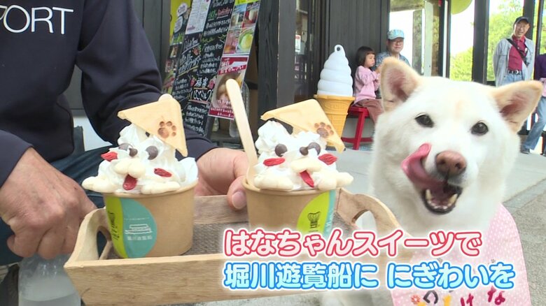 県外にもファンが… 松江城の“アイドル犬”「はなちゃん」がスイーツに　愛らしさ全開で観光に一役【島根発】｜FNNプライムオンライン