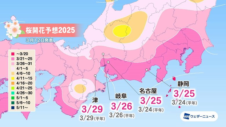 “最強最長寒波&quot;もあったのに…2025年のソメイヨシノの開花はなぜ「平年並み」？ スマホを使ったA開花予想も｜FNNプライムオンライン