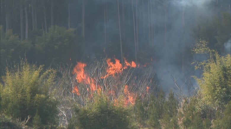 【速報】「山が燃えている」宮崎市でも山火事が発生…愛媛・今治市の山火事“焼失面積”約214ヘクタールに、岡山市でも鎮圧に至らず｜FNNプライムオンライン
