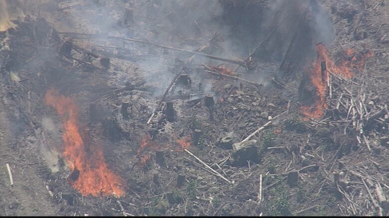 【速報】「山頂に向かって燃え広がっている」福岡・久留米市で山火事の通報　草刈り中に火が出たか　消防が出動　乾燥注意報が発表中｜FNNプライムオンライン