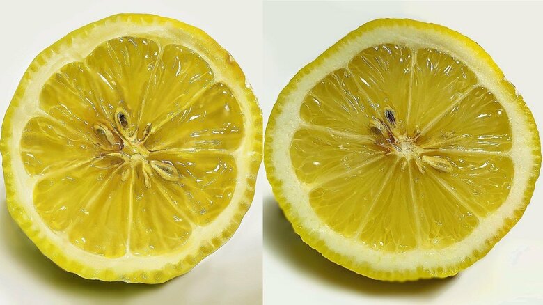 2つのレモンのどちらかが絵!? 写真のように描くコツを作者に聞いた