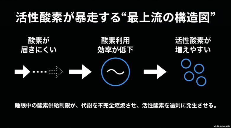 活性酸素＝悪者ではなかった！──睡眠中の体内環境に関する調査プロジェクトを開始
