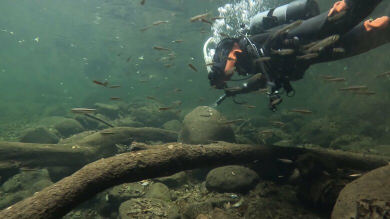 【滝壺内での貴重な映像撮影に成功】赤目四十八滝で真冬の潜水調査を実施