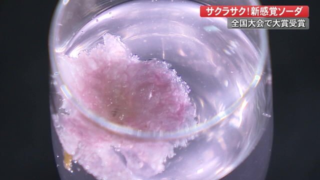 薄ピンク色のソーダに浮かぶ桜の花