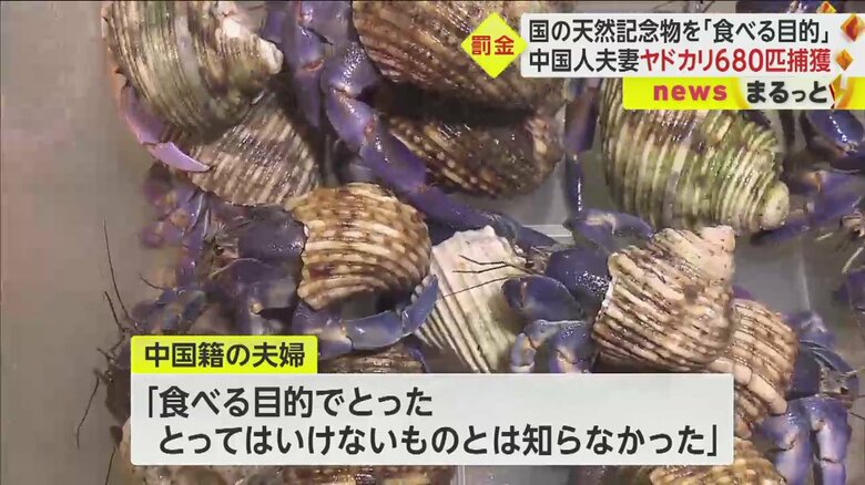「食べる目的でとった」などと話しているという