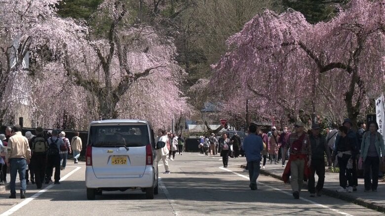 秋田・仙北市角館町の武家屋敷通り（2025年4月撮影）