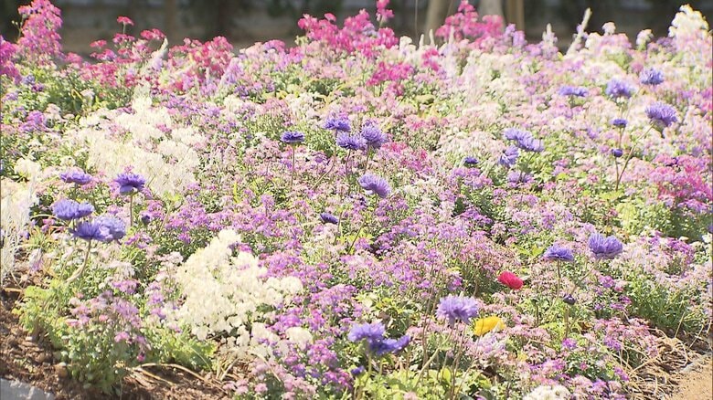 イングリッシュガーデン