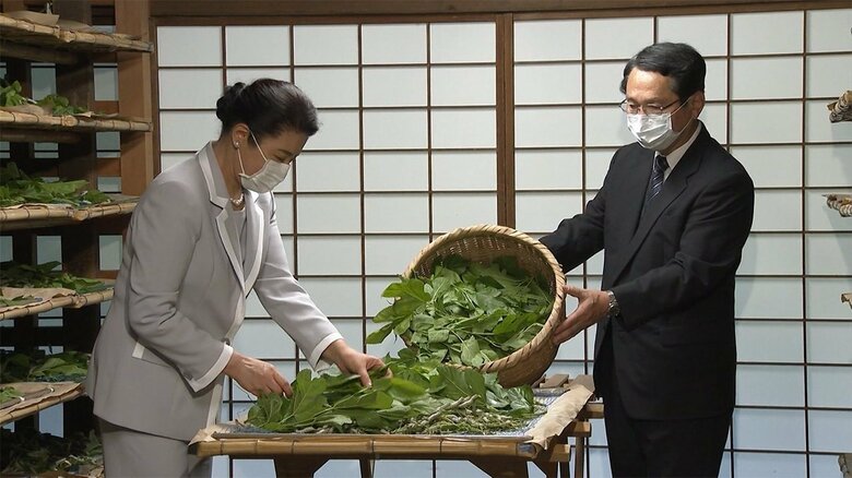 育てている蚕に桑の葉を与えられる皇后さま（5月）