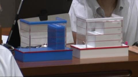 13日未明に行われた採決